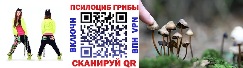 продажа наркотиков  Канаш  Псилоцибиновые грибы MAGIC MUSHROOMS 