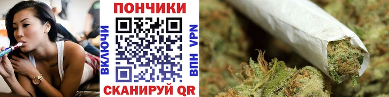 купить закладку Канаш Марихуана ГИДРОПОН